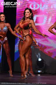 Grand Prix Dudushkin Fitness Family - 2024