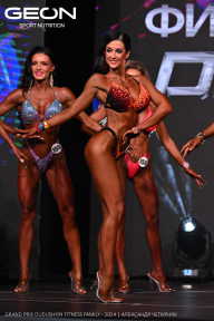 Grand Prix Dudushkin Fitness Family - 2024