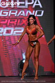 Grand Prix Dudushkin Fitness Family - 2024