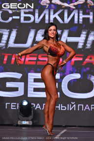 Grand Prix Dudushkin Fitness Family - 2024
