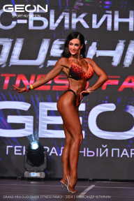 Grand Prix Dudushkin Fitness Family - 2024