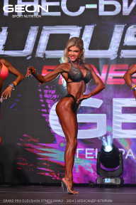Grand Prix Dudushkin Fitness Family - 2024