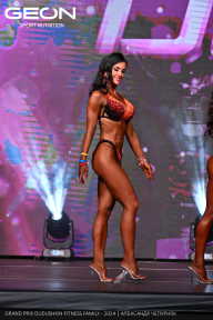 Grand Prix Dudushkin Fitness Family - 2024