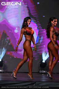Grand Prix Dudushkin Fitness Family - 2024