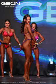 Grand Prix Dudushkin Fitness Family - 2024