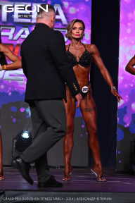 Grand Prix Dudushkin Fitness Family - 2024