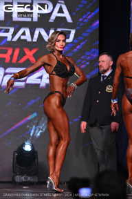 Grand Prix Dudushkin Fitness Family - 2024