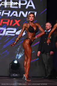 Grand Prix Dudushkin Fitness Family - 2024