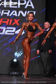 Grand Prix Dudushkin Fitness Family - 2024