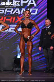 Grand Prix Dudushkin Fitness Family - 2024
