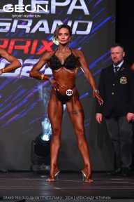 Grand Prix Dudushkin Fitness Family - 2024