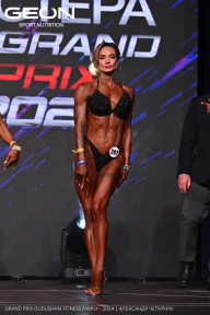 Grand Prix Dudushkin Fitness Family - 2024