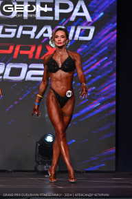 Grand Prix Dudushkin Fitness Family - 2024