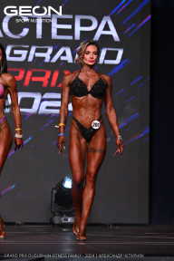 Grand Prix Dudushkin Fitness Family - 2024