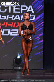Grand Prix Dudushkin Fitness Family - 2024