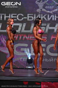 Grand Prix Dudushkin Fitness Family - 2024