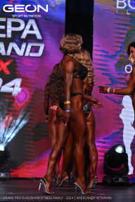 Grand Prix Dudushkin Fitness Family - 2024