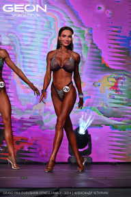 Grand Prix Dudushkin Fitness Family - 2024