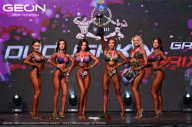 Grand Prix Dudushkin Fitness Family - 2024