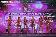Grand Prix Dudushkin Fitness Family - 2024