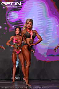 Grand Prix Dudushkin Fitness Family - 2024
