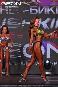 Grand Prix Dudushkin Fitness Family - 2024