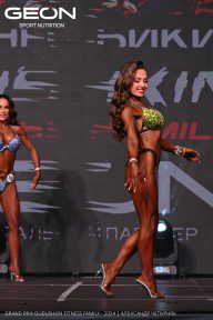 Grand Prix Dudushkin Fitness Family - 2024