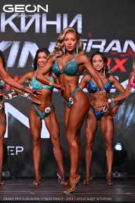 Grand Prix Dudushkin Fitness Family - 2024
