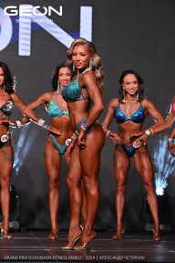 Grand Prix Dudushkin Fitness Family - 2024