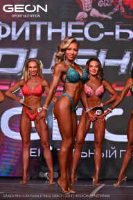 Grand Prix Dudushkin Fitness Family - 2024