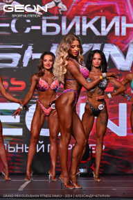 Grand Prix Dudushkin Fitness Family - 2024