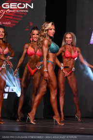 Grand Prix Dudushkin Fitness Family - 2024