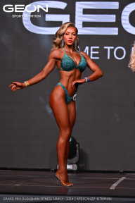Grand Prix Dudushkin Fitness Family - 2024