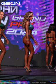 Grand Prix Dudushkin Fitness Family - 2024
