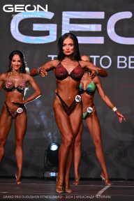 Grand Prix Dudushkin Fitness Family - 2024