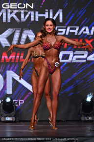 Grand Prix Dudushkin Fitness Family - 2024