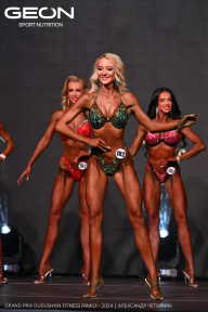 Grand Prix Dudushkin Fitness Family - 2024