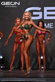 Grand Prix Dudushkin Fitness Family - 2024