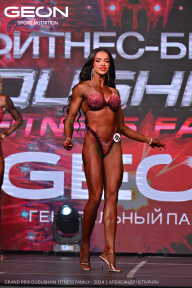 Grand Prix Dudushkin Fitness Family - 2024