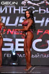 Grand Prix Dudushkin Fitness Family - 2024