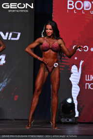 Grand Prix Dudushkin Fitness Family - 2024