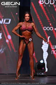 Grand Prix Dudushkin Fitness Family - 2024