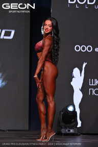 Grand Prix Dudushkin Fitness Family - 2024