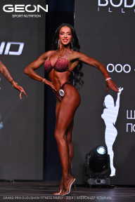 Grand Prix Dudushkin Fitness Family - 2024
