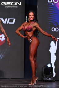 Grand Prix Dudushkin Fitness Family - 2024