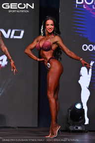 Grand Prix Dudushkin Fitness Family - 2024