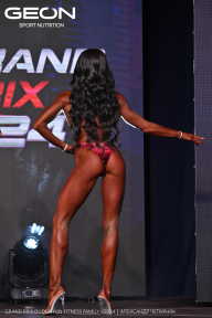 Grand Prix Dudushkin Fitness Family - 2024