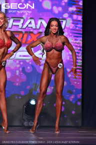 Grand Prix Dudushkin Fitness Family - 2024