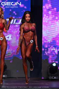Grand Prix Dudushkin Fitness Family - 2024