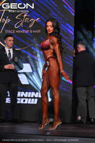Grand Prix Dudushkin Fitness Family - 2024